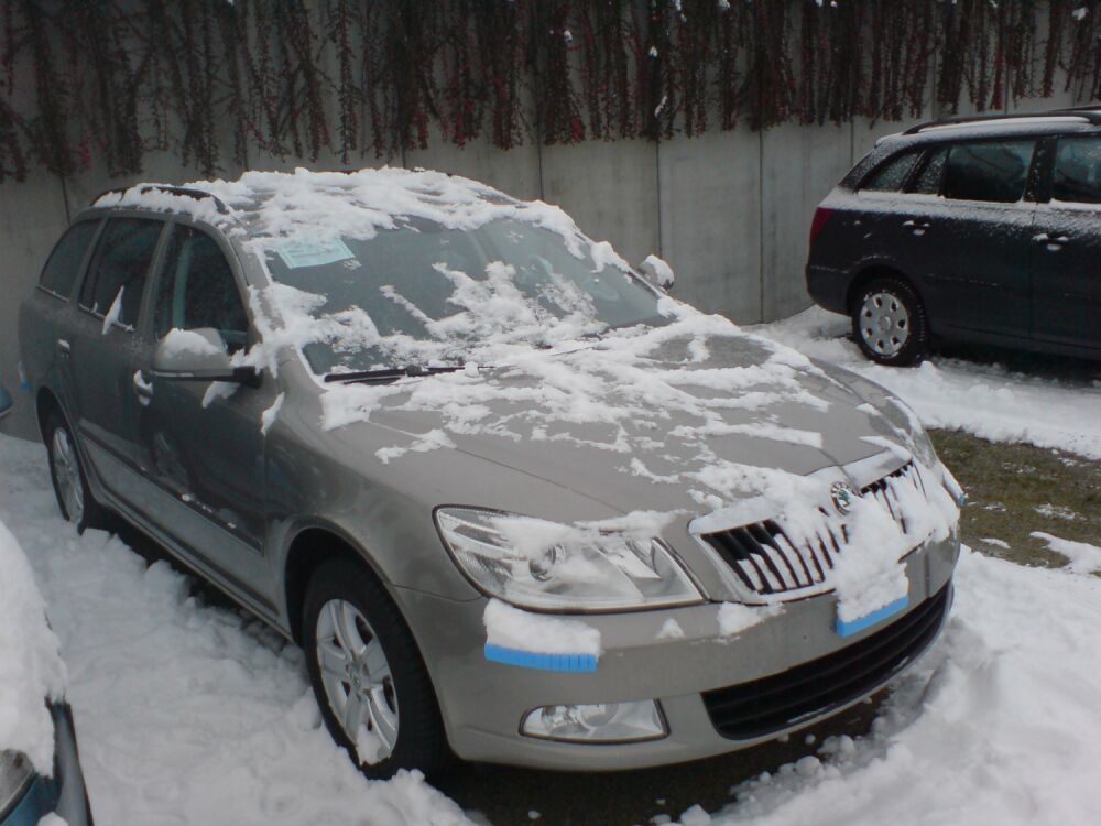 Noch Schnee bedeckt, hoffentlich nächste Woche nicht mehr so viel