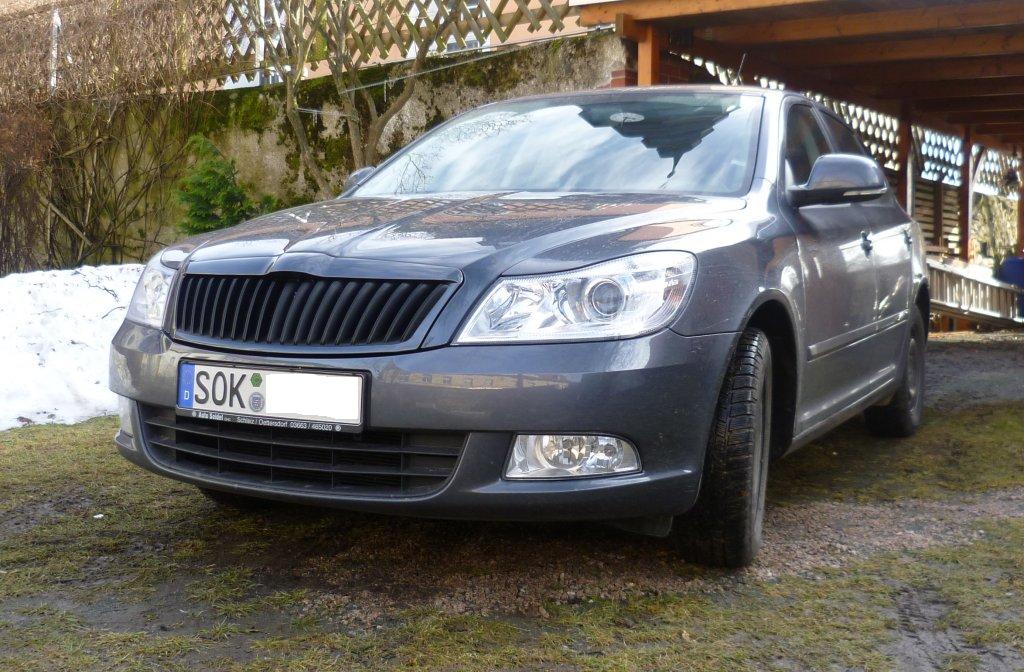 Superskoda Grill Octavia.jpg