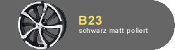 titel-B23-schwmatt.gif