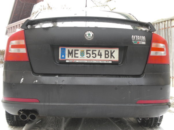 SKODA RS HINTEN.jpg